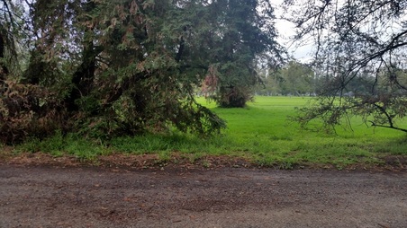 Enlarge photo 27