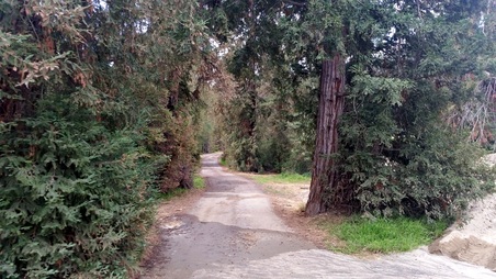 Enlarge photo 28