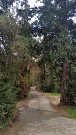 Enlarge photo 29