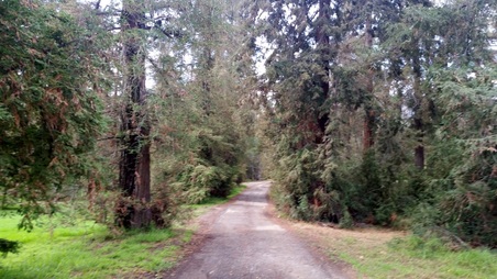 Enlarge photo 31