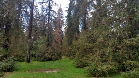 Enlarge photo 32