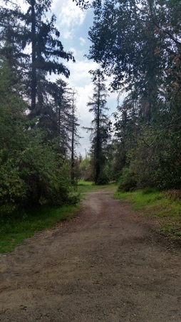 Enlarge photo 35