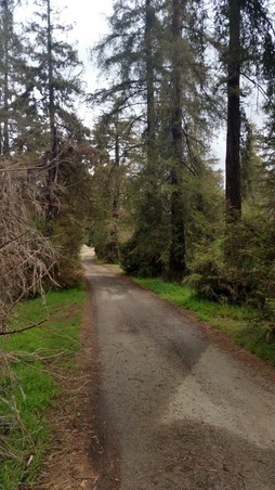 Enlarge photo 36