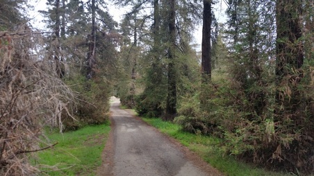 Enlarge photo 37