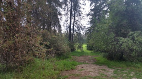 Enlarge photo 38