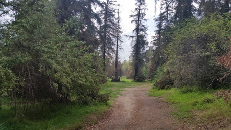 Enlarge photo 42