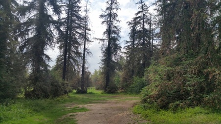 Enlarge photo 43