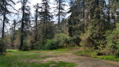 Enlarge photo 44