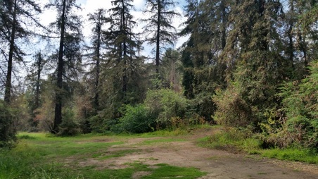 Enlarge photo 45