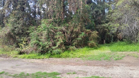 Enlarge photo 46