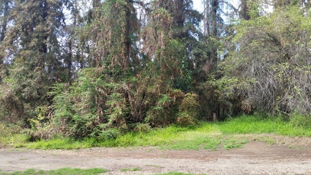 Enlarge photo 47