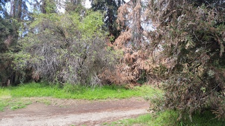 Enlarge photo 48