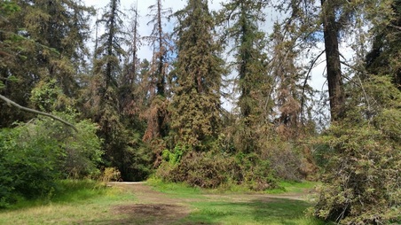 Enlarge photo 49
