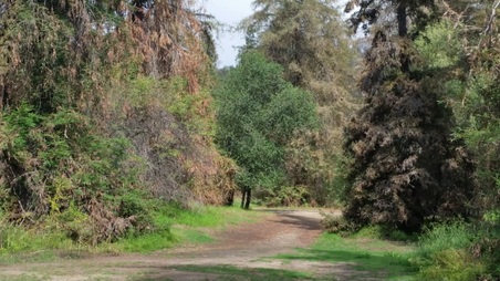 Enlarge photo 51