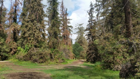 Enlarge photo 53