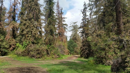 Enlarge photo 54