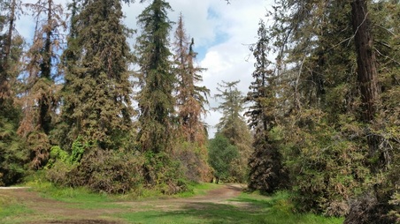 Enlarge photo 55