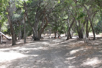 Sable Ranch