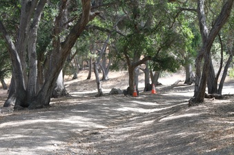 Enlarge photo 2