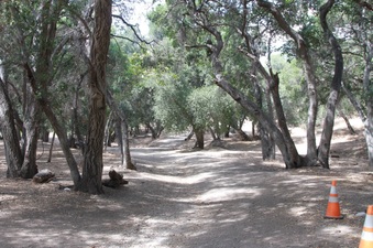 Enlarge photo 8