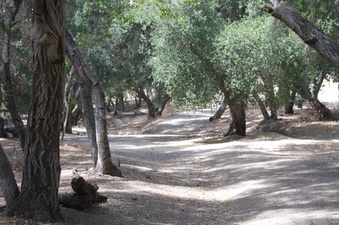 Enlarge photo 9