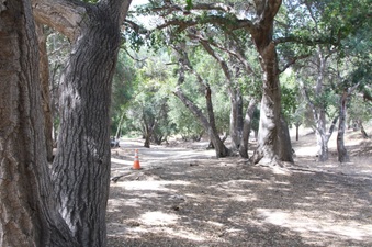 Enlarge photo 11