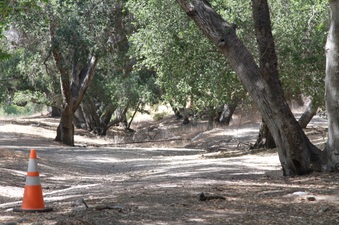Enlarge photo 12