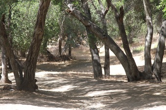 Enlarge photo 13