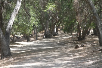 Enlarge photo 16