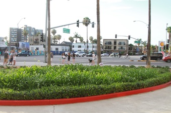 Enlarge photo 17