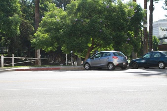 Enlarge photo 14
