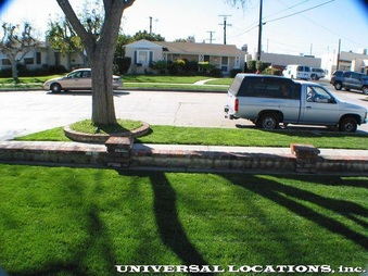 Enlarge photo 58
