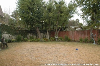 Enlarge photo 80