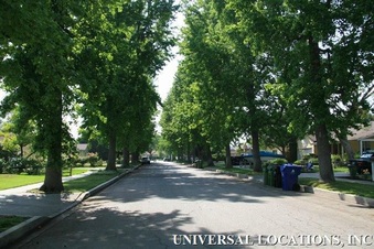 Enlarge photo 41
