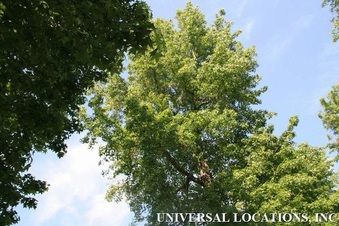 Enlarge photo 40