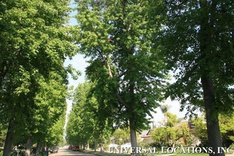 Enlarge photo 44