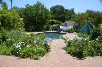 Enlarge photo 45