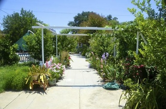 Enlarge photo 47