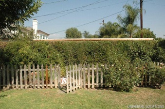 Enlarge photo 93