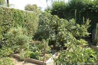 Enlarge photo 98