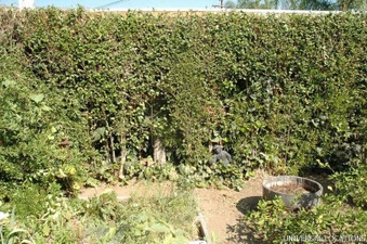 Enlarge photo 97