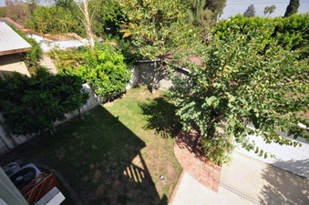Enlarge photo 65