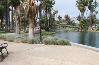Enlarge photo 16