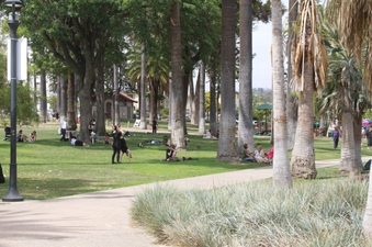 Enlarge photo 19
