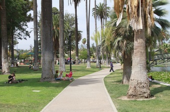 Enlarge photo 20