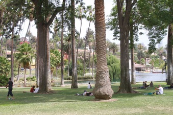 Enlarge photo 31