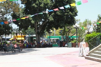 Enlarge photo 6