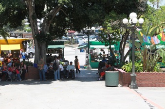 Enlarge photo 31