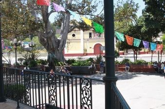 Enlarge photo 37