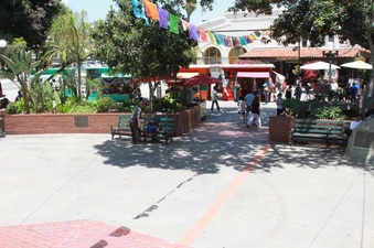 Enlarge photo 43